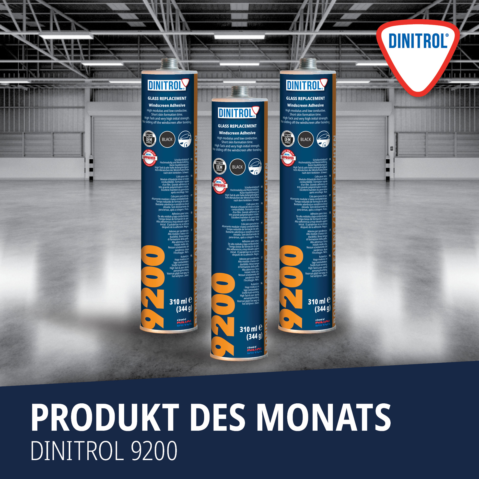 Produkt des Monats: DINITROL 9200